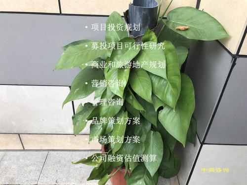 廣州中撰咨詢市場營銷策劃方案